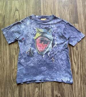 Vintage The Mountain Dinosaur Tie Dye Graphic Tee